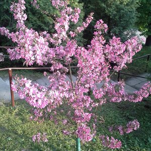 20160502_182427.jpg