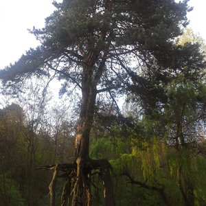 20160503_180701.jpg