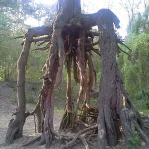 20160503_180724.jpg