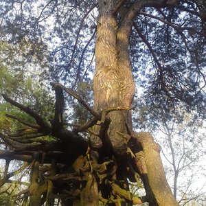 20160503_181126.jpg